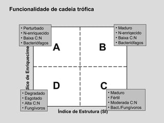 Funcionalidade de cadeia trófica
Índice de Estrutura (SI)
ÍndicedeEnriquecimento(EI)
A B
D C
0
0
• Perturbado
• N-enriquecido
• Baixa C:N
• Bacteriófagos
• Maduro
• N-enriqecido
• Baixa C:N
• Bacteriófagos
• Maduro
• Fértil
• Moderada C:N
• Bact./Fungívoros
• Degradado
• Esgotado
• Alta C:N
• Fungívoros
 