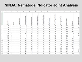 NINJA: Nematode INdicator Joint Analysis
 