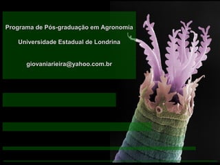Programa de Pós-graduação em AgronomiaPrograma de Pós-graduação em Agronomia
Universidade Estadual de LondrinaUniversidade Estadual de Londrina
giovaniarieira@yahoo.com.brgiovaniarieira@yahoo.com.br
 