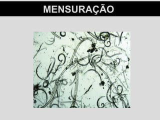 MENSURAÇÃOMENSURAÇÃO
 