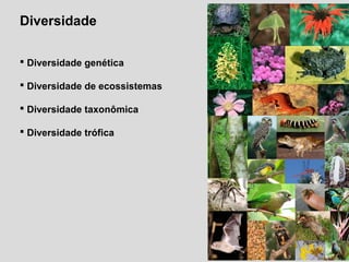 Diversidade
 Diversidade genética
 Diversidade de ecossistemas
 Diversidade taxonômica
 Diversidade trófica
 