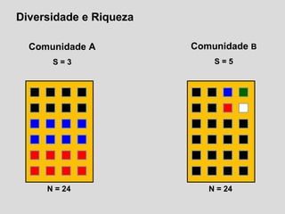 Diversidade e Riqueza
Comunidade A
S = 3
Comunidade B
S = 5
N = 24 N = 24
 