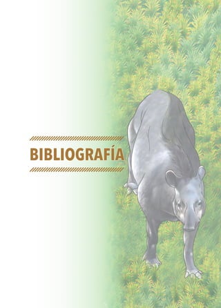 Bibliografía
 