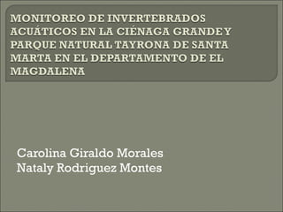 Carolina Giraldo Morales  Nataly Rodriguez Montes 