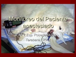 Monitoreo del Paciente
     anestesiado
   M.V.Esp. Roberto Mujica
      Tarabana, 2012
 