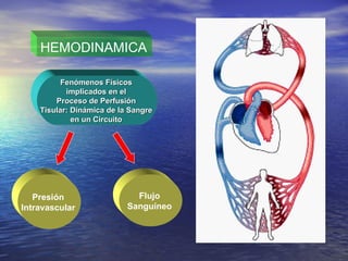 HEMODINAMICA Fenómenos Físicos  implicados en el  Proceso de Perfusión  Tisular: Dinámica de la Sangre  en un Circuito  Presión  Intravascular   Flujo  Sanguíneo  