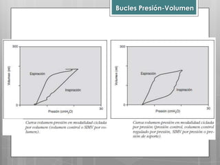Bucles Presión-Volumen

 