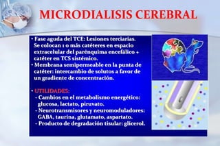 Permite valorar autorregulación vascular