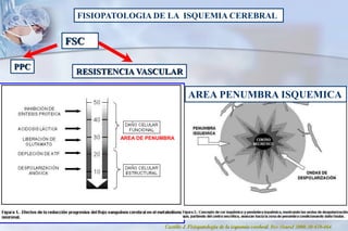 FISIOPATOLOGIA DE LA ISQUEMIA CEREBRAL
FSC
PPC
RESISTENCIA VASCULAR
Castillo J. Fisiopatología de la isquemia cerebral. Rev Neurol 2000;30:459-464.
AREA PENUMBRA ISQUEMICA
AREA DE PENUMBRA
 