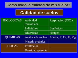 Cómo mido la calidad de mis suelos?
Calidad de suelos
Actividad
microbiana
Respiración (CO2)
Individuos Lombrices,
BIOLOGICAS
Diversidad Hongos
Análisis de suelos Acidez, P, Ca, K, MgQUIMICAS
FISICAS
Materia orgánica
Infiltración
Densidad aparente
 