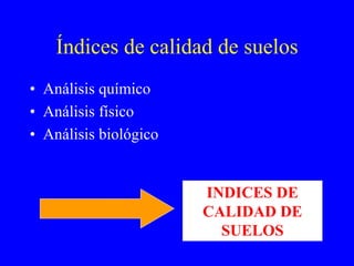 Índices de calidad de suelos
• Análisis químico
• Análisis físico
• Análisis biológico
INDICES DE
CALIDAD DE
SUELOS
 