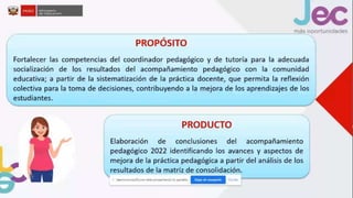 monitoreo y acompañamiento.pptx