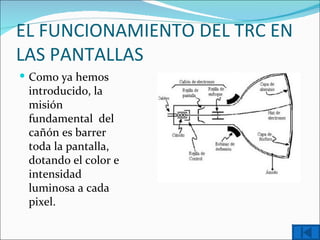 EL FUNCIONAMIENTO DEL TRC EN
LAS PANTALLAS
 Como ya hemos
 introducido, la
 misión
 fundamental del
 cañón es barrer
 toda la pantalla,
 dotando el color e
 intensidad
 luminosa a cada
 pixel.
 