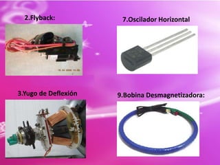 Tiene una vida muy larga.