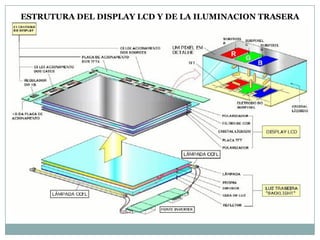 ESTRUTURA DEL DISPLAY LCD Y DE LA ILUMINACION TRASERA
                   ("BACKLIGHT")
 