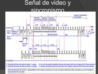Señal de video y
sincronismo
 