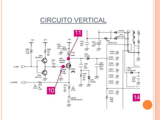 CIRCUITO VERTICAL
 