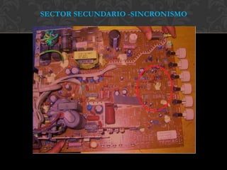 SECTOR SECUNDARIO -SINCRONISMO
 