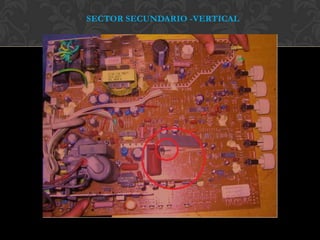 SECTOR SECUNDARIO -VERTICAL
 