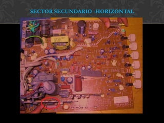 SECTOR SECUNDARIO -HORIZONTAL
 