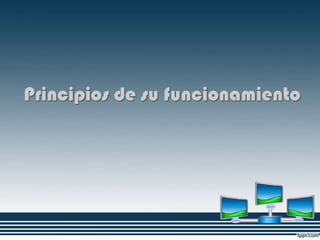 Principios de su funcionamiento
 