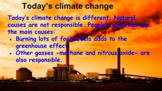 Today’s climate change
Today’s climate change is different. Natural
causes are not responsible. People’s activities are
the main causes:
● Burning lots of fossil fuels adds to the
greenhouse effect.
● Other gasses -methane and nitrous oxide- are
also responsible.
 