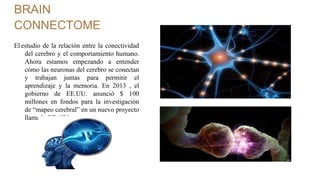 BRAIN
CONNECTOME
El estudio de la relación entre la conectividad
del cerebro y el comportamiento humano.
Ahora estamos empezando a entender
cómo las neuronas del cerebro se conectan
y trabajan juntas para permitir el
aprendizaje y la memoria. En 2013 , el
gobierno de EE.UU. anunció $ 100
millones en fondos para la investigación
de “mapeo cerebral” en un nuevo proyecto
llamado BRAIN.
 