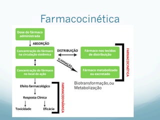 Farmacocinética
Biotransformação,ou
Metabolização
 