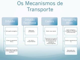 Os Mecanismos de
Transporte
Difusão
Sem gasto energético
A favor do gradiente
de [ ]
Interrompe-se quando
ambos lados estão em
equilíbrio
Difusão
Facilitada
Moléculas
carreadoras
Uni, Anti e
Simportadoras
Canais
Muito mais rápido
Depende da mudança
de potencial elétrico
na membrana e da
substância
indutora(ligante)
Transporte
Ativo
Gasto enérgetico
( energia é a mudança
conformacional)
Contra o gradiente de
[ ]
Saturação dos
transportadores
 