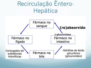 Recirculação Êntero-
Hepática
 