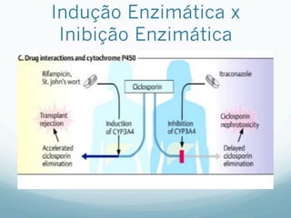 Indução Enzimática x
Inibição Enzimática
 