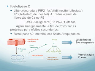 —  Fosfolipase C
—  Libera(degrada a PIP2- fosfatidilinositol bifosfato):
IP3(Trifosfato de Inositol) à traduz o sinal de
liberação de Ca no RE
DAG(Diacilglicerol) à PKC à efeitos
Agem sinergicamente, a fim de fosforilar as
proteínas para efeitos secundários.
—  Fosfolipase A2: metabólicos Ácido Araquidônico
Vasodilatação
Broncoespasmo
Vasodilatação
Edema
 