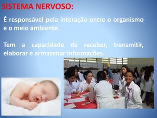 SISTEMA NERVOSO:
É responsável pela interação entre o organismo
e o meio ambiente.
Tem a capacidade de receber, transmitir,
elaborar e armazenar informações.
 
