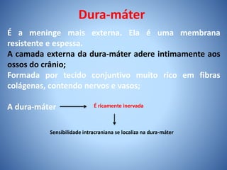Dura-máter
É a meninge mais externa. Ela é uma membrana
resistente e espessa.
A camada externa da dura-máter adere intimamente aos
ossos do crânio;
Formada por tecido conjuntivo muito rico em fibras
colágenas, contendo nervos e vasos;
A dura-máter É ricamente inervada
Sensibilidade intracraniana se localiza na dura-máter
 