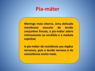 Pia-máter
Meninge mais interna. Uma delicada
membrana vascular de tecido
conjuntivo frouxo, a pia-máter adere
intimamente ao encéfalo e a medula
espinhal;
A pia-máter dá resistência aos órgãos
nervosos, pois o tecido nervoso é de
consistência muito mole.
 