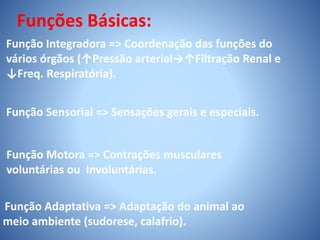 Funções Básicas:
Função Integradora => Coordenação das funções do
vários órgãos (↑Pressão arterial→↑Filtração Renal e
↓Freq. Respiratória).
Função Sensorial => Sensações gerais e especiais.
Função Motora => Contrações musculares
voluntárias ou Involuntárias.
Função Adaptativa => Adaptação do animal ao
meio ambiente (sudorese, calafrio).
 