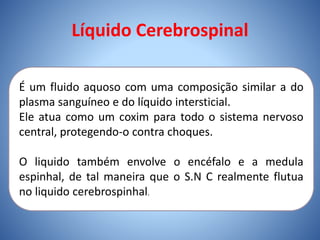 Líquido Cerebrospinal
É um fluido aquoso com uma composição similar a do
plasma sanguíneo e do líquido intersticial.
Ele atua como um coxim para todo o sistema nervoso
central, protegendo-o contra choques.
O liquido também envolve o encéfalo e a medula
espinhal, de tal maneira que o S.N C realmente flutua
no liquido cerebrospinhal.
 