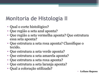 Monitoria de Histologia II
• Qual o corte histológico?
• Que região a seta azul aponta?
• Que região a seta vermelha aponta? Que estrutura
  essa seta aponta?
• Que estrutura a seta rosa aponta? Classifique o
  tecido.
• Que estrutura a seta verde aponta?
• Que estrutura a seta amarela aponta?
• Que estrutura a seta roxa aponta?
• Que estrutura a seta laranja aponta?
• Qual a coloração utilizada?
                                           • Leilane Raposo
 
