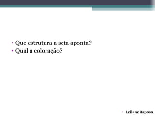• Que estrutura a seta aponta?
• Qual a coloração?




                                 • Leilane Raposo
 