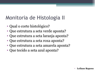 Monitoria de Histologia II
•   Qual o corte histológico?
•   Que estrutura a seta verde aponta?
•   Que estrutura a seta laranja aponta?
•   Que estrutura a seta roxa aponta?
•   Que estrutura a seta amarela aponta?
•   Que tecido a seta azul aponta?



                                           • Leilane Raposo
 