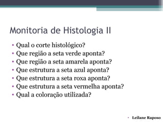 Monitoria de Histologia II
•   Qual o corte histológico?
•   Que região a seta verde aponta?
•   Que região a seta amarela aponta?
•   Que estrutura a seta azul aponta?
•   Que estrutura a seta roxa aponta?
•   Que estrutura a seta vermelha aponta?
•   Qual a coloração utilizada?


                                            • Leilane Raposo
 