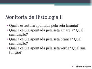 Monitoria de Histologia II
• Qual a estrutura apontada pela seta laranja?
• Qual a célula apontada pela seta amarela? Qual
  sua função?
• Qual a célula apontada pela seta branca? Qual
  sua função?
• Qual a célula apontada pela seta verde? Qual sua
  função?


                                         • Leilane Raposo
 