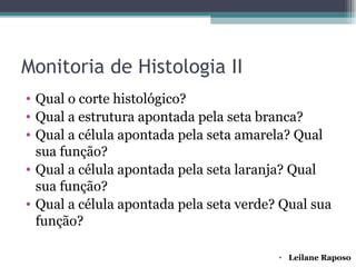 Monitoria de Histologia II
• Qual o corte histológico?
• Qual a estrutura apontada pela seta branca?
• Qual a célula apontada pela seta amarela? Qual
  sua função?
• Qual a célula apontada pela seta laranja? Qual
  sua função?
• Qual a célula apontada pela seta verde? Qual sua
  função?

                                         • Leilane Raposo
 