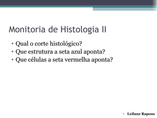 Monitoria de Histologia II
• Qual o corte histológico?
• Que estrutura a seta azul aponta?
• Que células a seta vermelha aponta?




                                        • Leilane Raposo
 