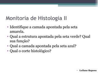 Monitoria de Histologia II
• Identifique a camada apontada pela seta
  amarela.
• Qual a estrutura apontada pela seta verde? Qual
  sua função?
• Qual a camada apontada pela seta azul?
• Qual o corte histológico?




                                         • Leilane Raposo
 