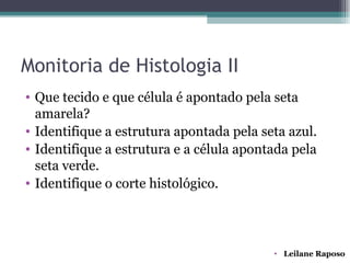 Monitoria de Histologia II
• Que tecido e que célula é apontado pela seta
  amarela?
• Identifique a estrutura apontada pela seta azul.
• Identifique a estrutura e a célula apontada pela
  seta verde.
• Identifique o corte histológico.




                                          • Leilane Raposo
 