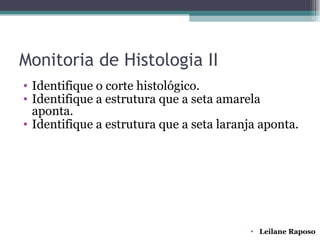 Monitoria de Histologia II
• Identifique o corte histológico.
• Identifique a estrutura que a seta amarela
  aponta.
• Identifique a estrutura que a seta laranja aponta.




                                          • Leilane Raposo
 