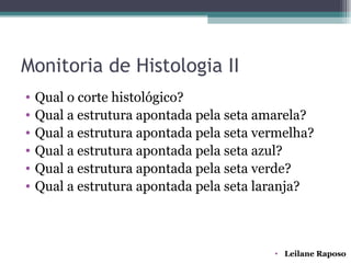 Monitoria de Histologia II
•   Qual o corte histológico?
•   Qual a estrutura apontada pela seta amarela?
•   Qual a estrutura apontada pela seta vermelha?
•   Qual a estrutura apontada pela seta azul?
•   Qual a estrutura apontada pela seta verde?
•   Qual a estrutura apontada pela seta laranja?



                                          • Leilane Raposo
 