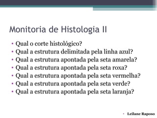 Monitoria de Histologia II
•   Qual o corte histológico?
•   Qual a estrutura delimitada pela linha azul?
•   Qual a estrutura apontada pela seta amarela?
•   Qual a estrutura apontada pela seta roxa?
•   Qual a estrutura apontada pela seta vermelha?
•   Qual a estrutura apontada pela seta verde?
•   Qual a estrutura apontada pela seta laranja?


                                          • Leilane Raposo
 