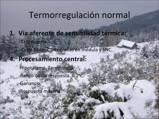 Termorregulación normal Vía aferente de sensibilidad térmica: - Frío A-delta. - Calor fibras C integradas en médula y SNC. Procesamiento central: -Hipotálamo. Termostato. -Rango de no respuesta. 0.2 o C. -Ganancia. -Respuesta máxima. 